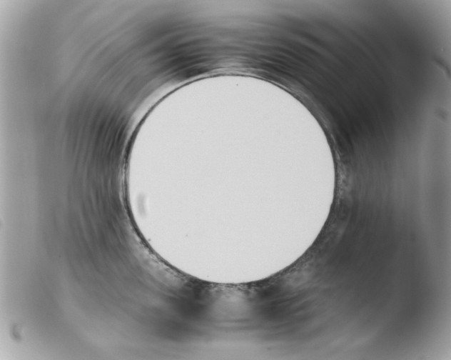 X0000103940955200810171812