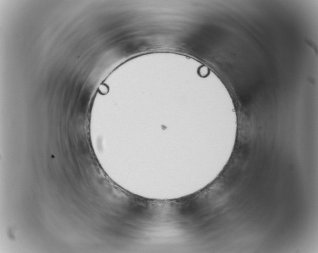 X0000103940956200810171812