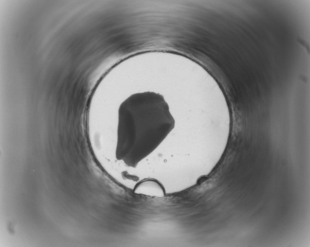 X0000103940958200810171812