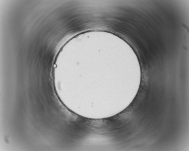 X0000103940959200810171812