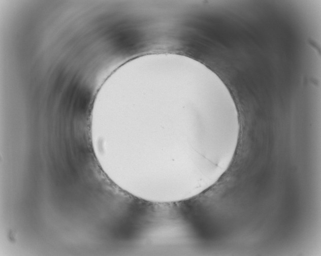 X0000103940960200810171812