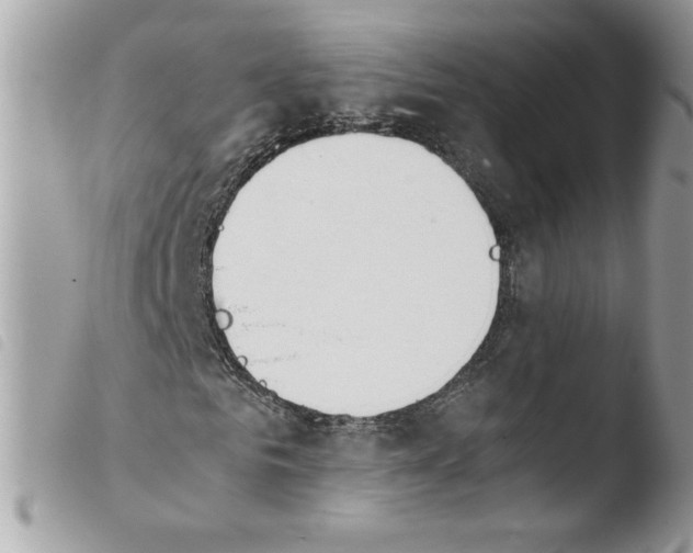 X0000103940961200810171811