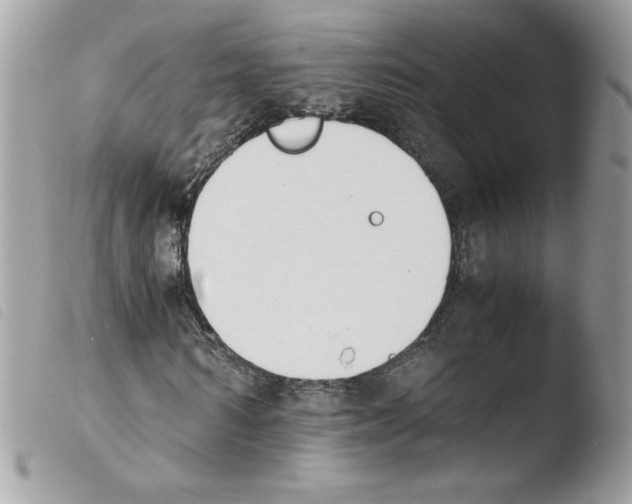 X0000103940962200810171811