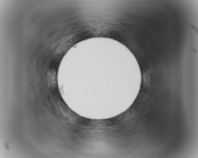 X0000103940963200810171811