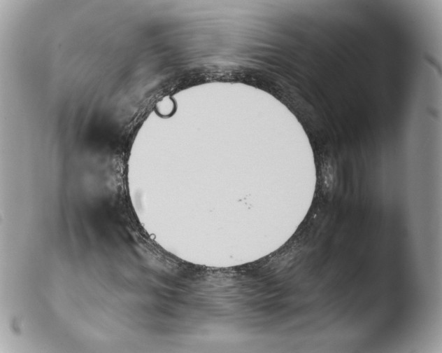 X0000103940964200810171811