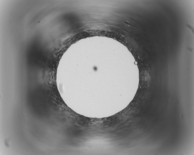 X0000103940965200810171811