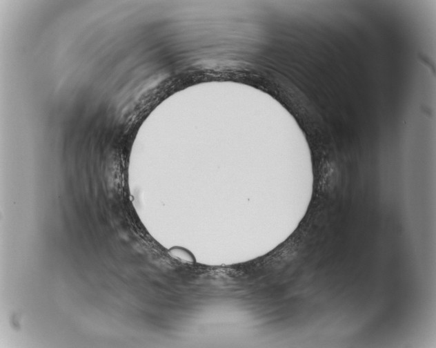 X0000103940966200810171811