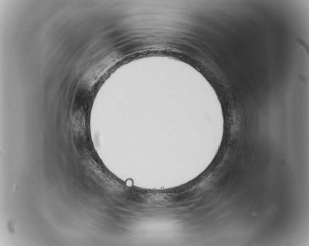 X0000103940969200810171811