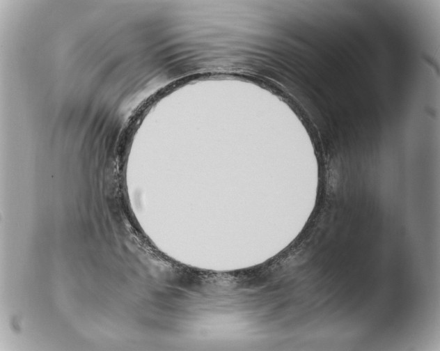 X0000103940971200810171811