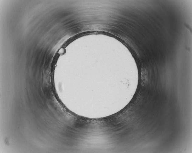 X0000103940972200810171811