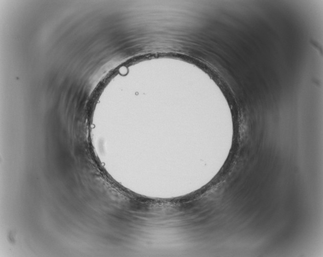 X0000103940973200810171811