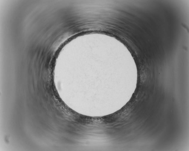 X0000103940975200810171811