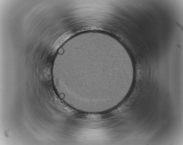 X0000103940977200810171811