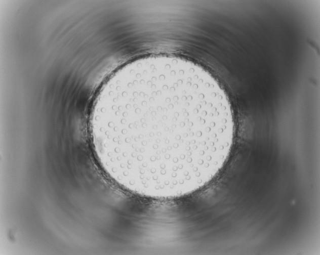 X0000103940978200810171811