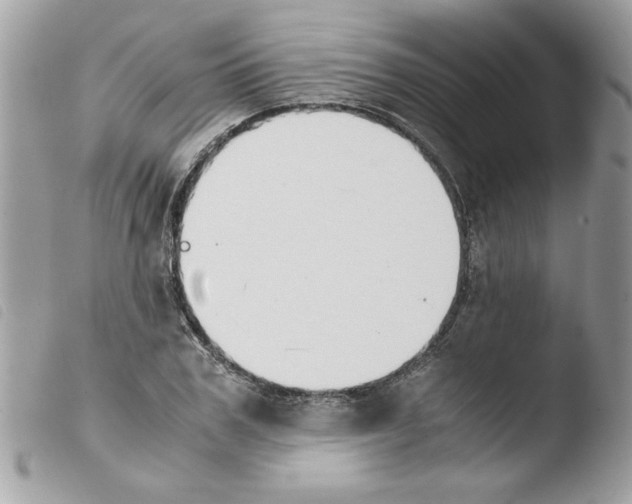 X0000103940979200810171811