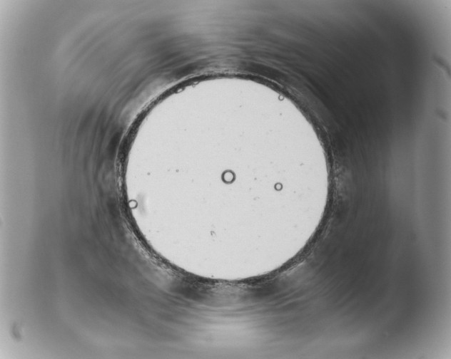 X0000103940981200810171811