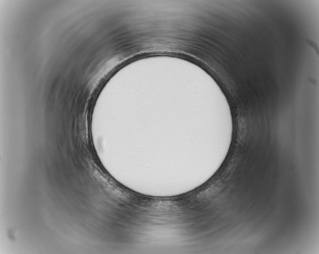 X0000103940982200810171811