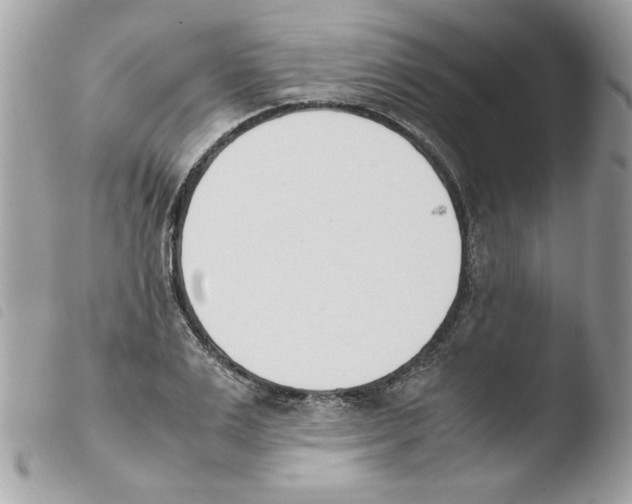 X0000103940983200810171811