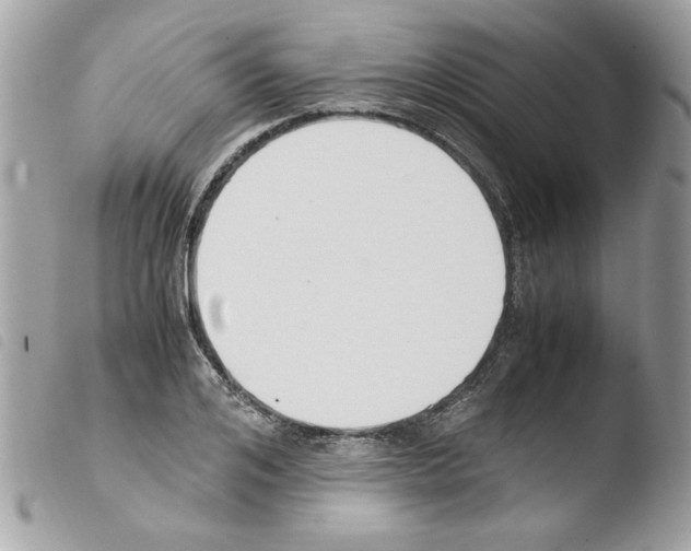 X0000103940984200810171811