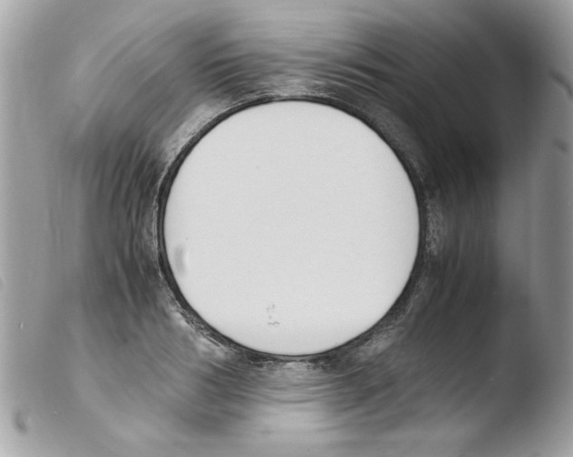 X0000103940986200810171811