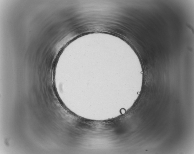 X0000103940987200810171811