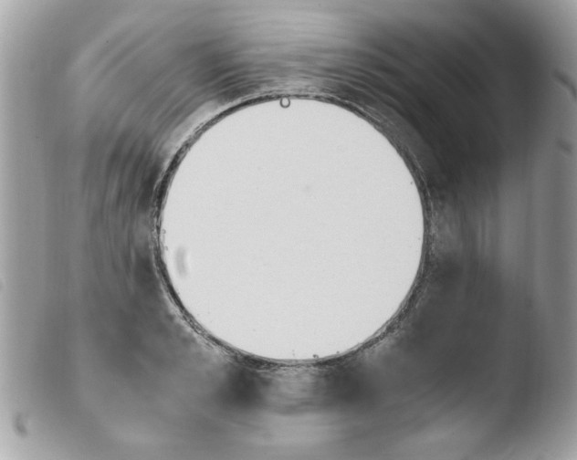 X0000103940989200810171811