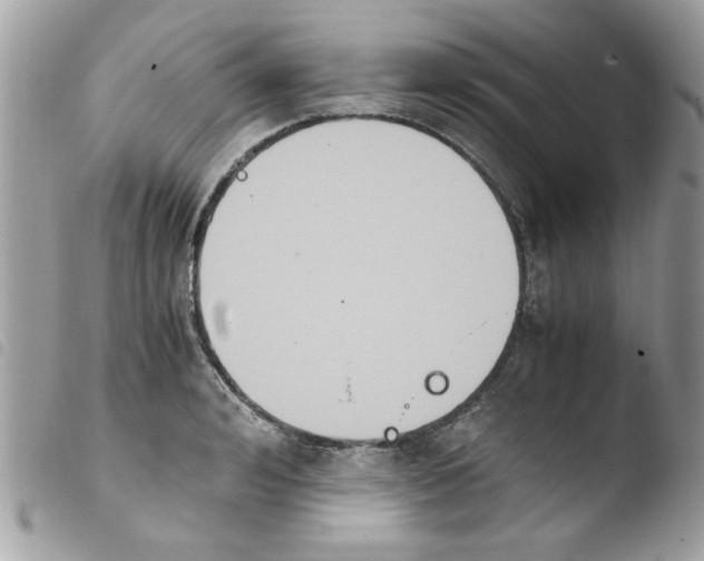 X0000103940992200810171811