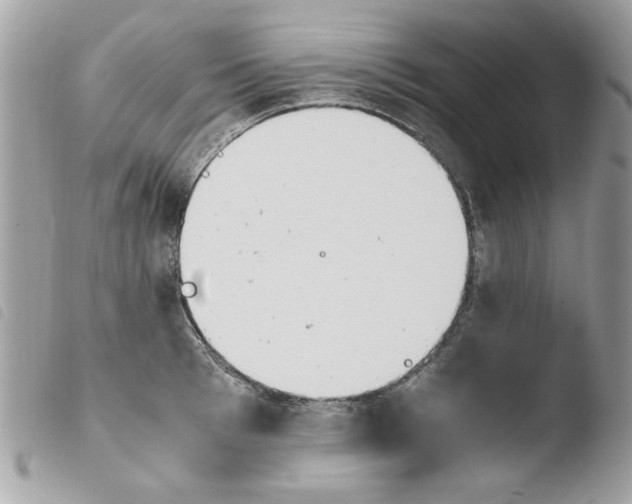 X0000103940993200810171811