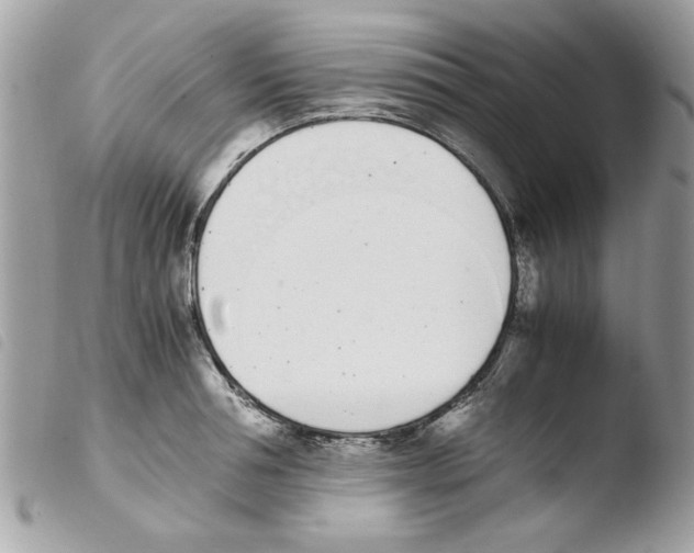 X0000103940994200810171811