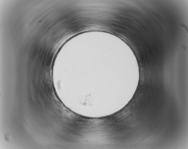 X0000103940996200810171811