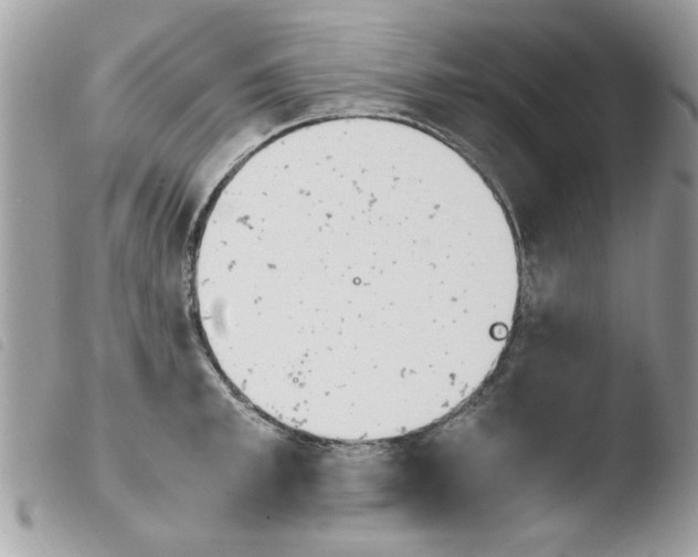 X0000103940997200810171811