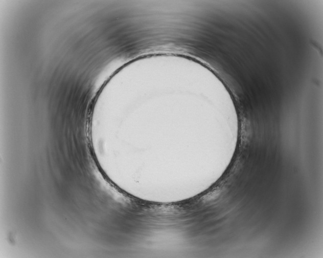 X0000103940998200810171811