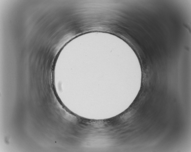 X0000103940999200810171811