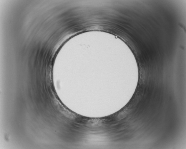 X0000103941000200810171811