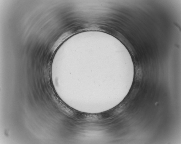 X0000103941002200810171811