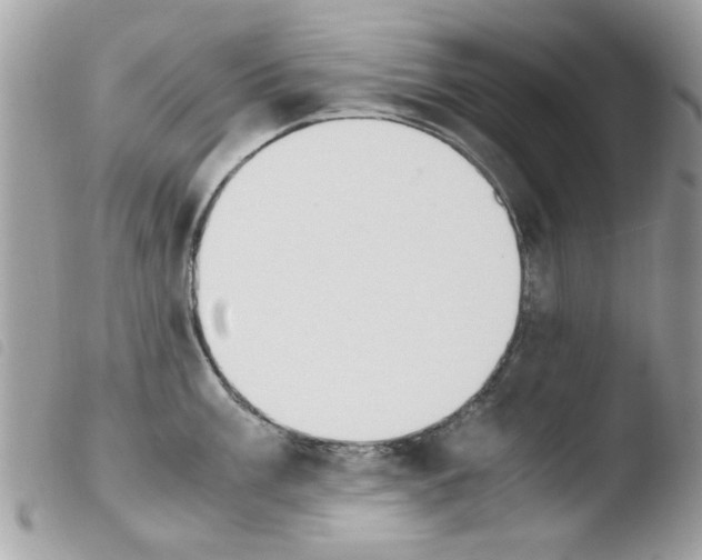 X0000103941003200810171811