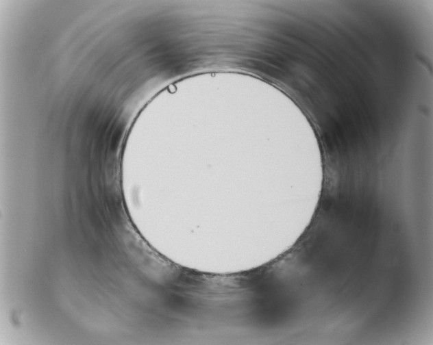 X0000103941004200810171811