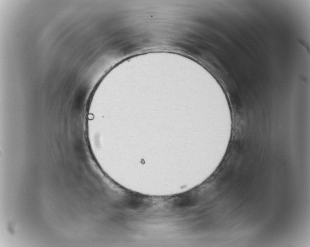 X0000103941005200810171811