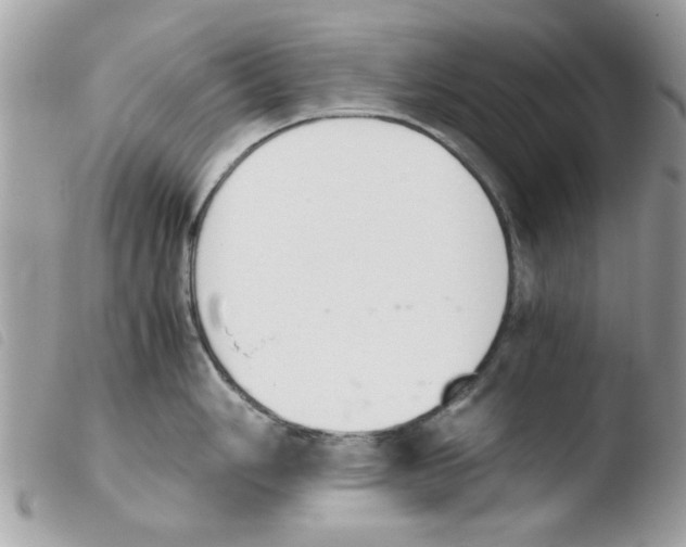 X0000103941006200810171811