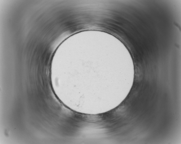 X0000103941007200810171811