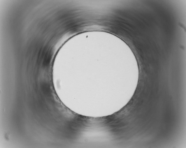 X0000103941008200810171811