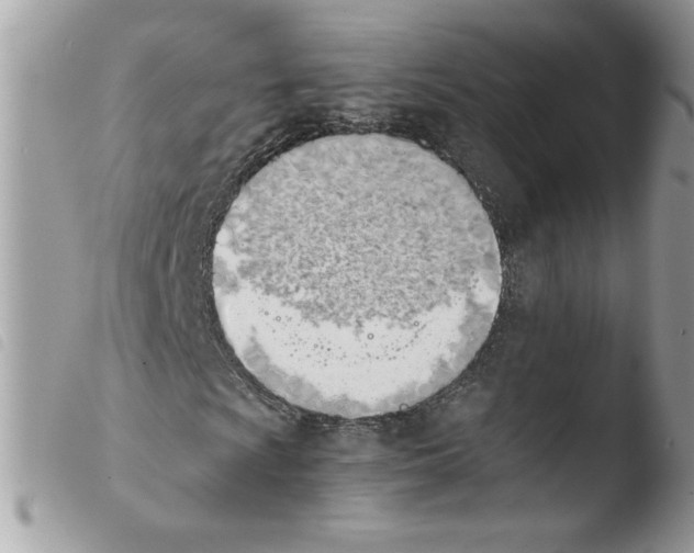 X0000103941009200810171810