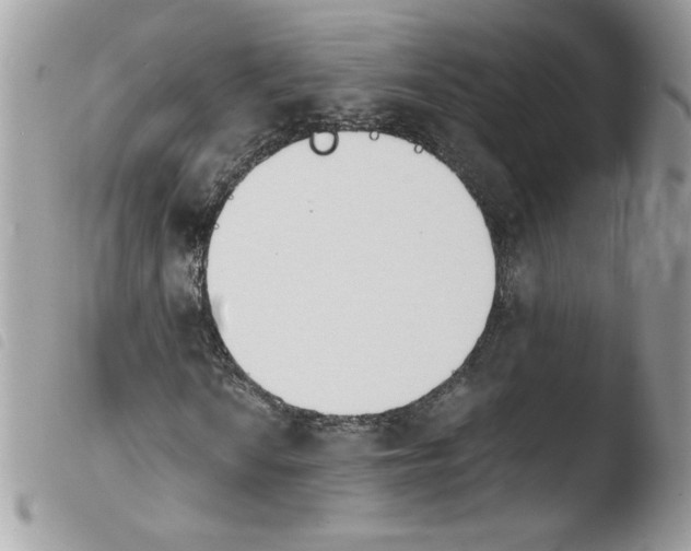 X0000103941010200810171810