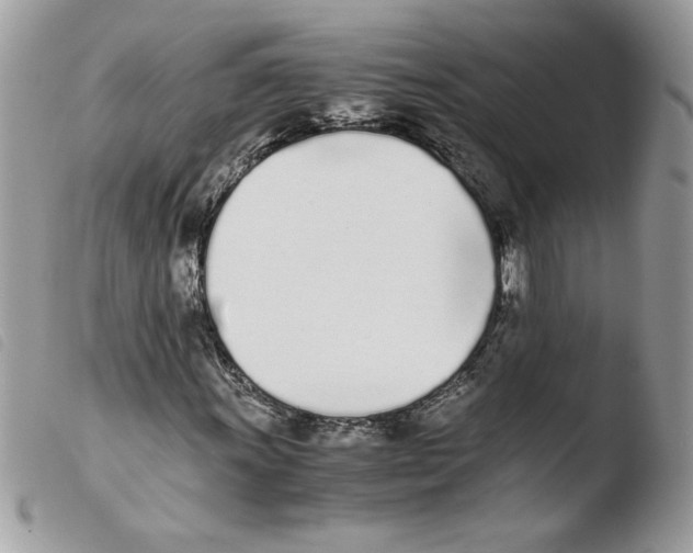 X0000103941011200810171810