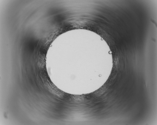 X0000103941012200810171810