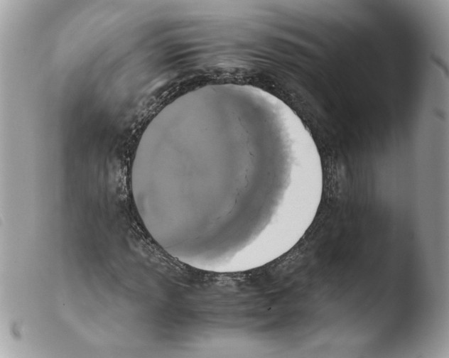 X0000103941013200810171810