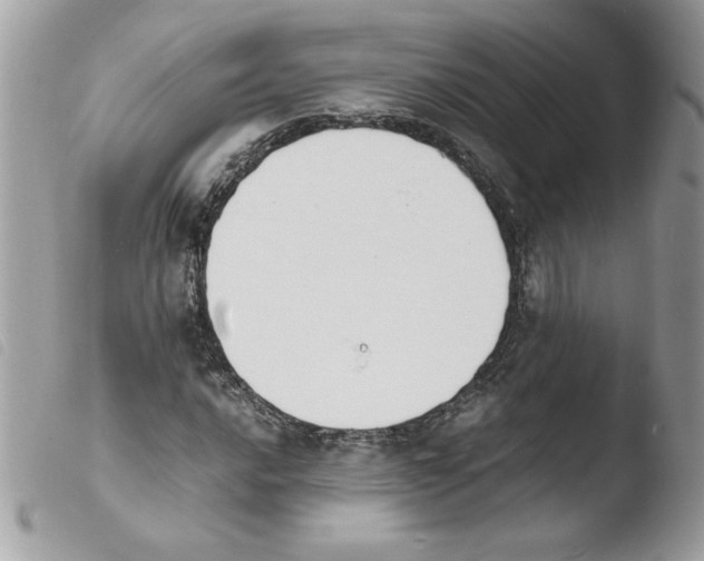 X0000103941016200810171810