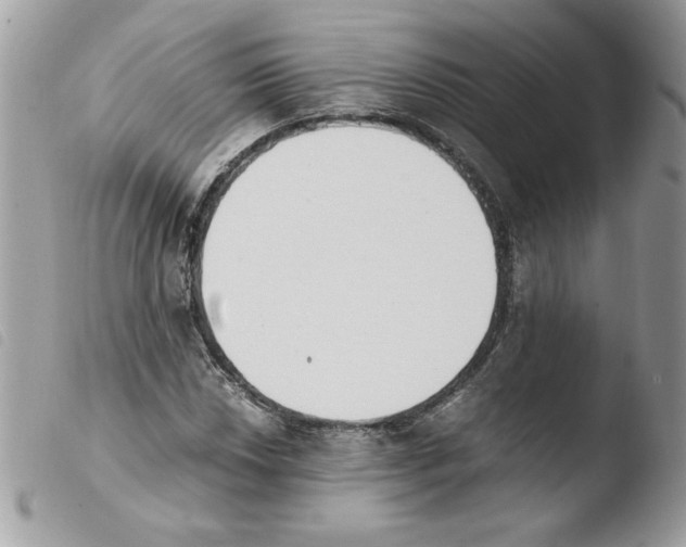 X0000103941018200810171810