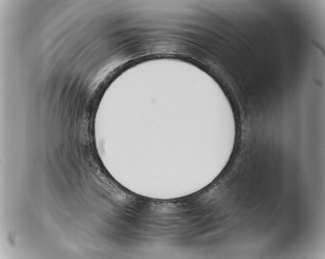 X0000103941019200810171810