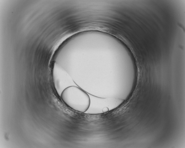 X0000103941020200810171810